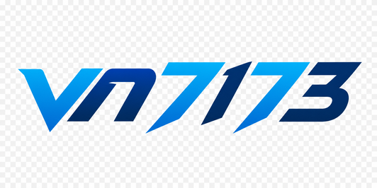 VN7173